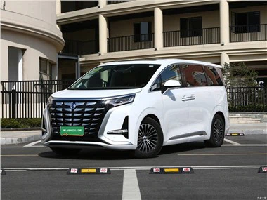 2023  BYD Denza D9 TengShi D9