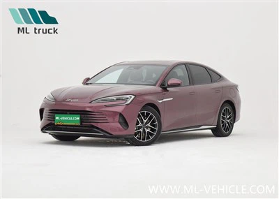 BYD Bouche DM-i