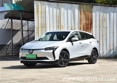 SAIC GM Buick Velite 6